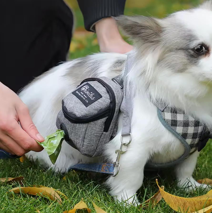 Dog Training Treat Bag